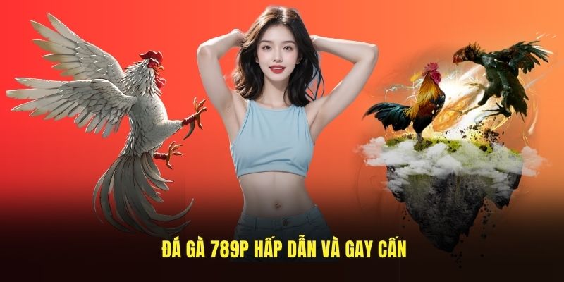Đá gà 789P hấp dẫn và gay cấn