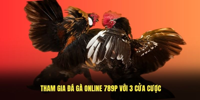 Tham gia đá gà online 789P với 3 cửa cược